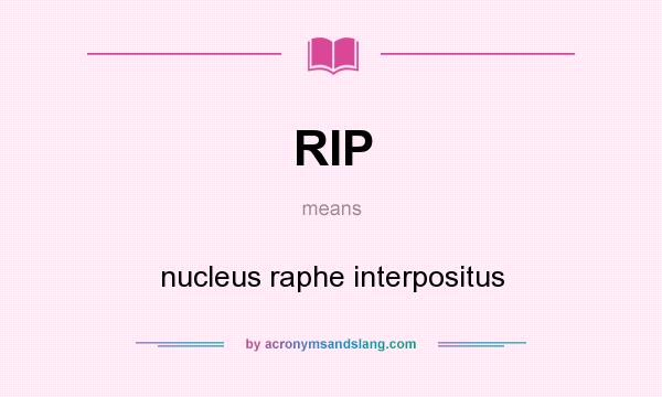 What does RIP mean? It stands for nucleus raphe interpositus