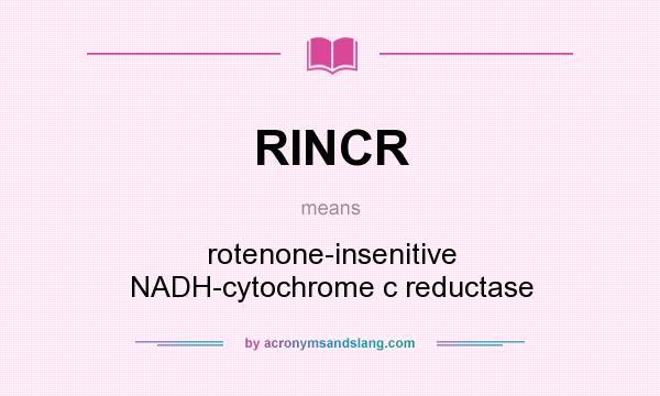 What does RINCR mean? It stands for rotenone-insenitive NADH-cytochrome c reductase