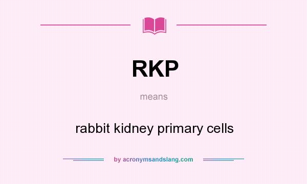 What does RKP mean? It stands for rabbit kidney primary cells