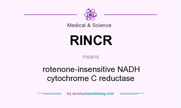 What does RINCR mean? It stands for rotenone-insensitive NADH cytochrome C reductase