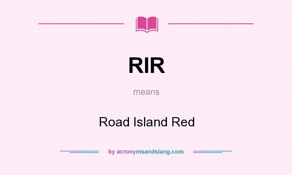 What does RIR mean? It stands for Road Island Red