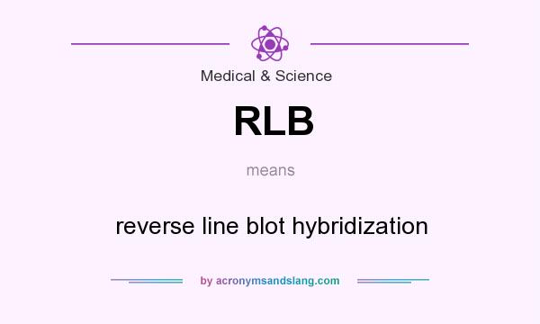 What does RLB mean? It stands for reverse line blot hybridization