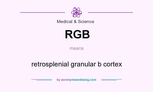 What does RGB mean? It stands for retrosplenial granular b cortex