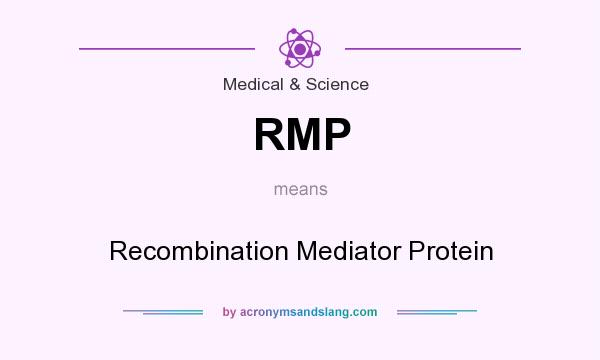 What does RMP mean? It stands for Recombination Mediator Protein