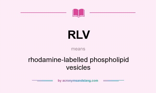 What does RLV mean? It stands for rhodamine-labelled phospholipid vesicles