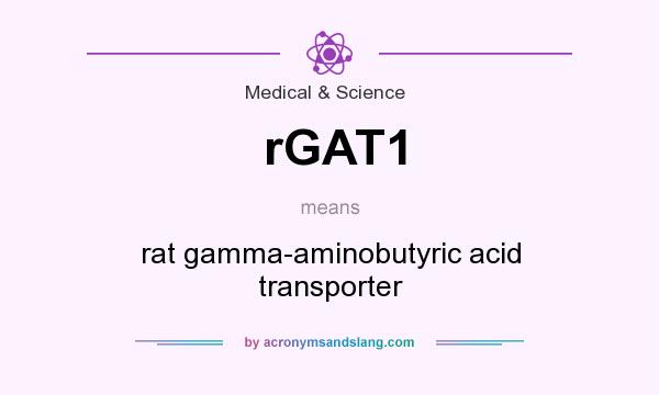 What does rGAT1 mean? It stands for rat gamma-aminobutyric acid transporter