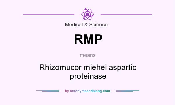 What does RMP mean? It stands for Rhizomucor miehei aspartic proteinase