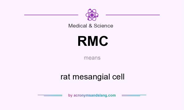 What does RMC mean? It stands for rat mesangial cell