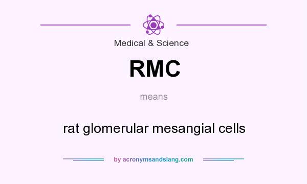 What does RMC mean? It stands for rat glomerular mesangial cells