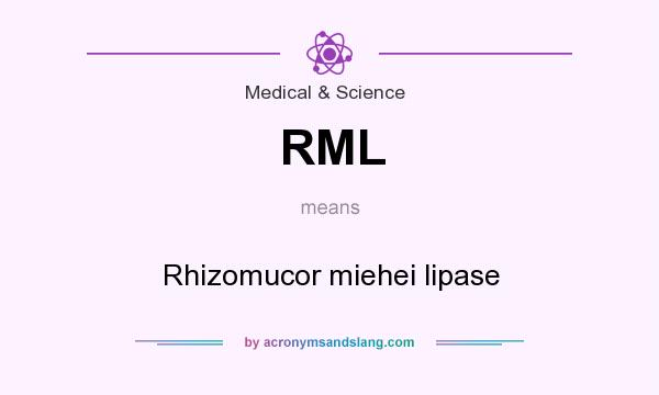What does RML mean? It stands for Rhizomucor miehei lipase