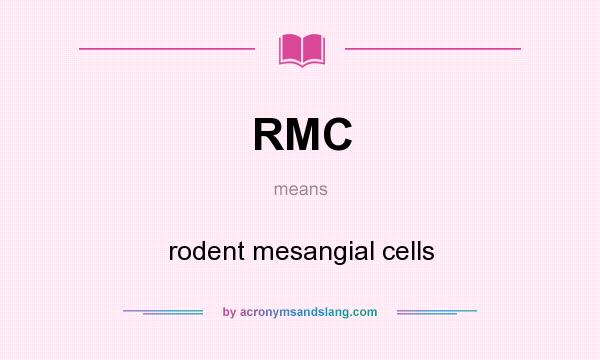What does RMC mean? It stands for rodent mesangial cells