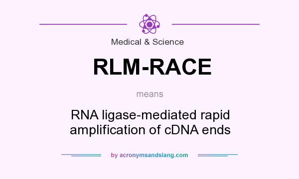 What does RLM-RACE mean? It stands for RNA ligase-mediated rapid amplification of cDNA ends