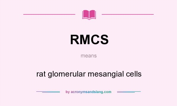What does RMCS mean? It stands for rat glomerular mesangial cells