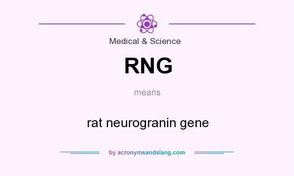 What does RNG mean? It stands for rat neurogranin gene