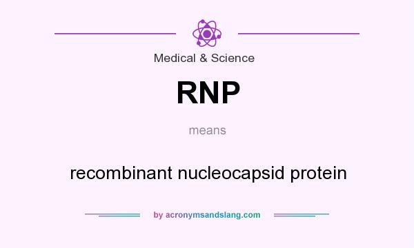 What does RNP mean? It stands for recombinant nucleocapsid protein