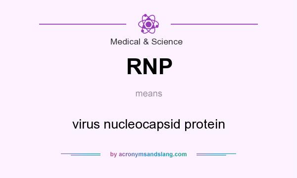 What does RNP mean? It stands for virus nucleocapsid protein