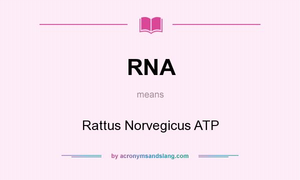 What does RNA mean? It stands for Rattus Norvegicus ATP