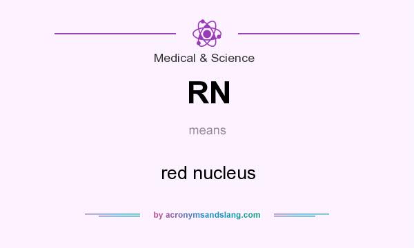What does RN mean? It stands for red nucleus