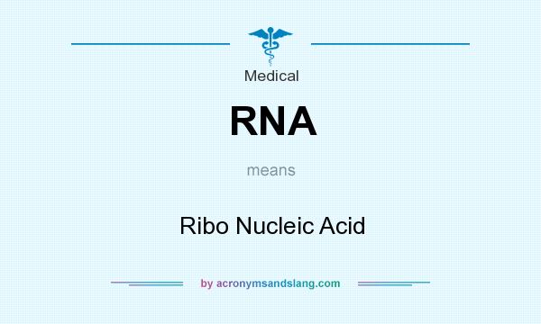 What does RNA mean? It stands for Ribo Nucleic Acid
