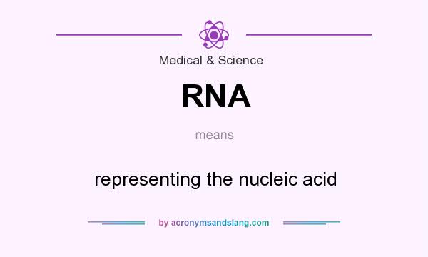 What does RNA mean? It stands for representing the nucleic acid