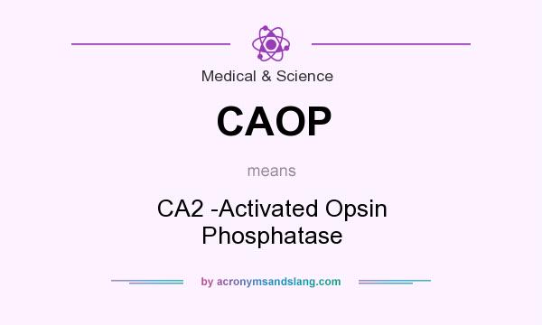 What does CAOP mean? It stands for CA2 -Activated Opsin Phosphatase