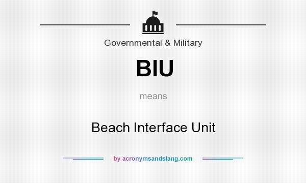 What does BIU mean? It stands for Beach Interface Unit