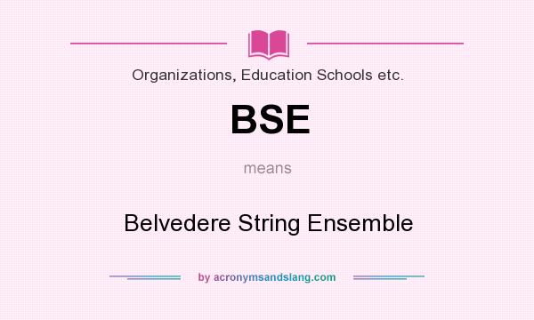 What does BSE mean? It stands for Belvedere String Ensemble