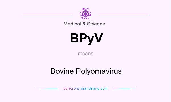 What does BPyV mean? It stands for Bovine Polyomavirus