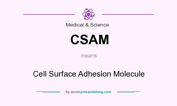 What does CSAM mean? It stands for Cell Surface Adhesion Molecule