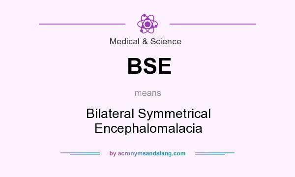 What does BSE mean? It stands for Bilateral Symmetrical Encephalomalacia