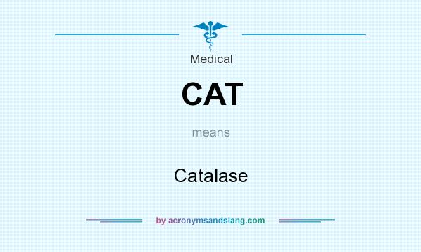 What does CAT mean? It stands for Catalase