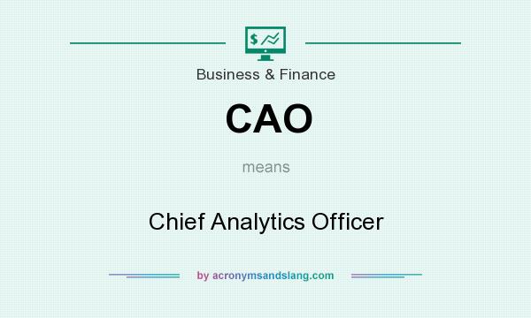 What does CAO mean? It stands for Chief Analytics Officer