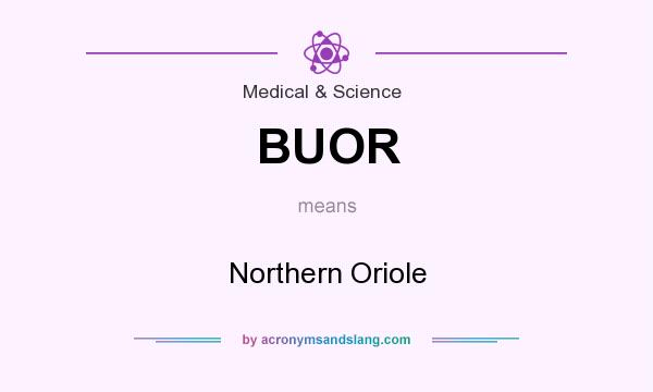 What does BUOR mean? It stands for Northern Oriole