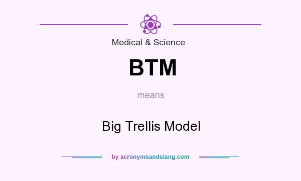 What does BTM mean? It stands for Big Trellis Model