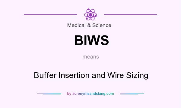 What does BIWS mean? It stands for Buffer Insertion and Wire Sizing
