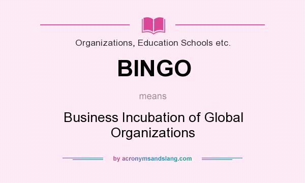 What does BINGO mean? It stands for Business Incubation of Global Organizations