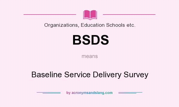 What does BSDS mean? It stands for Baseline Service Delivery Survey