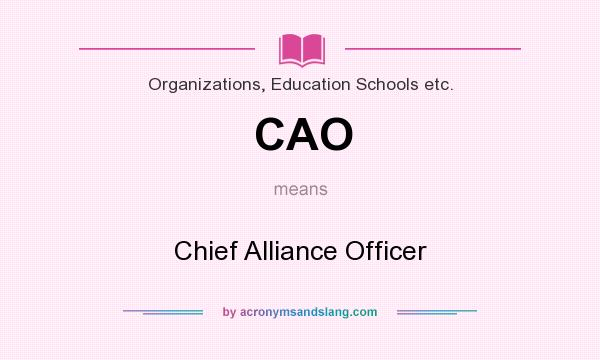 What does CAO mean? It stands for Chief Alliance Officer