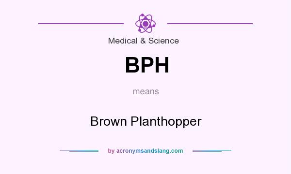 What does BPH mean? It stands for Brown Planthopper