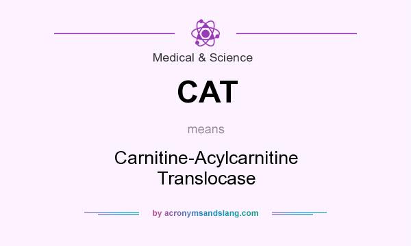 What does CAT mean? It stands for Carnitine-Acylcarnitine Translocase
