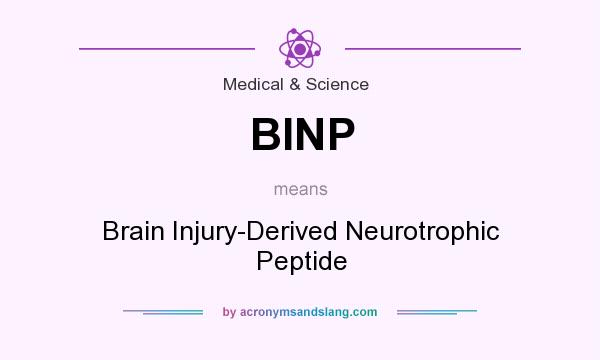 What does BINP mean? It stands for Brain Injury-Derived Neurotrophic Peptide