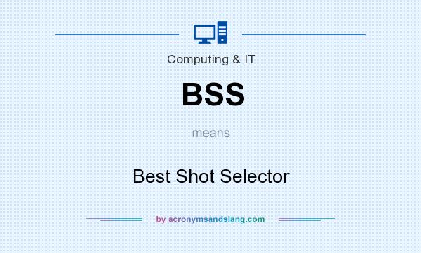 What does BSS mean? It stands for Best Shot Selector