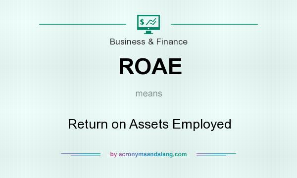 What does ROAE mean? It stands for Return on Assets Employed