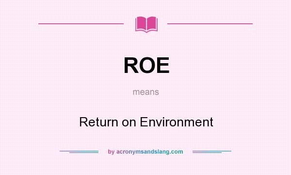 What does ROE mean? It stands for Return on Environment