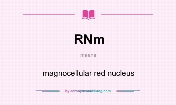 What does RNm mean? It stands for magnocellular red nucleus