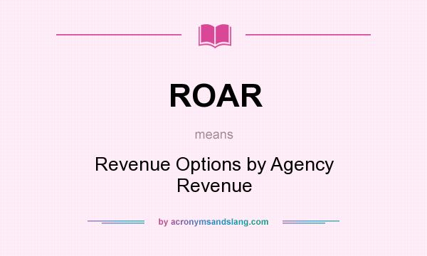 What does ROAR mean? It stands for Revenue Options by Agency Revenue