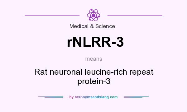 What does rNLRR-3 mean? It stands for Rat neuronal leucine-rich repeat protein-3