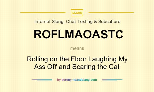 What does ROFLMAOASTC mean? It stands for Rolling on the Floor Laughing My Ass Off and Scaring the Cat
