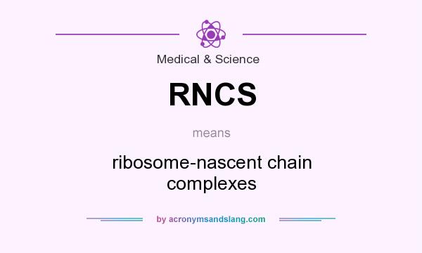 What does RNCS mean? It stands for ribosome-nascent chain complexes