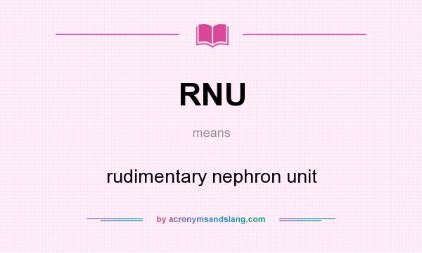 What does RNU mean? It stands for rudimentary nephron unit